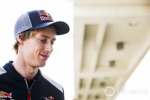 toro rosso