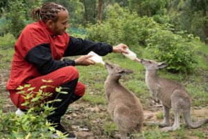 (Lewis Hamilton) Ngon miệng nhé các bé Kangaroo